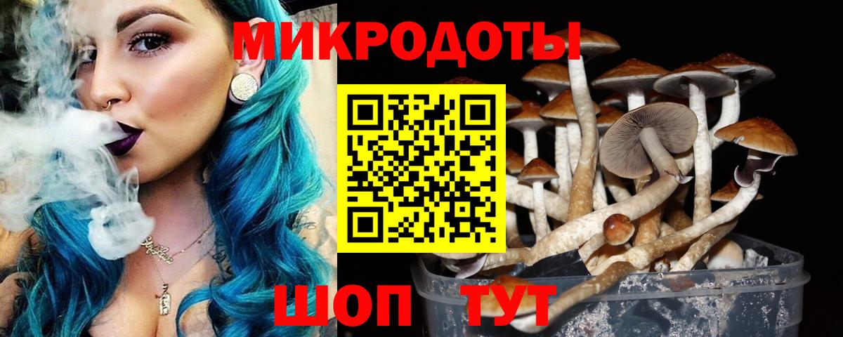 Псилоцибиновые грибы Psilocybine cubensis Белореченск